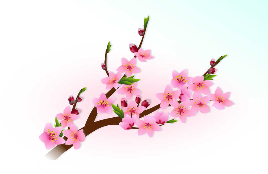 峰尾節子さんの桃